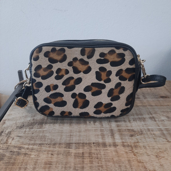Borsa maculata